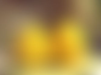 いただきます!スっぱ美味しいレモンスイーツ!