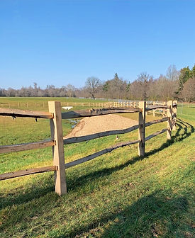 Fencing 2_edited.jpg