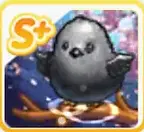 [ดาร์ค] นกติ๊ดสีดำแห่งทะเลทราย