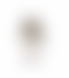Florist Coquitlam