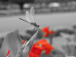 Portfolio - 10 of 66