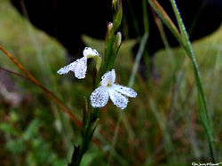 Portfolio - 18 of 66