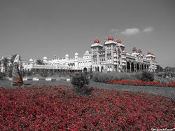 Portfolio - 26 of 66