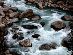 Portfolio - 32 of 66