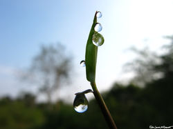 Portfolio - 19 of 66