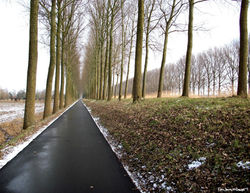 Portfolio - 46 of 66