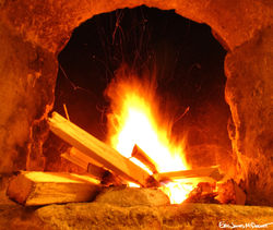 Portfolio - 14 of 66