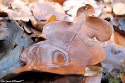 Portfolio - 49 of 66