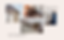 story wix (3).png