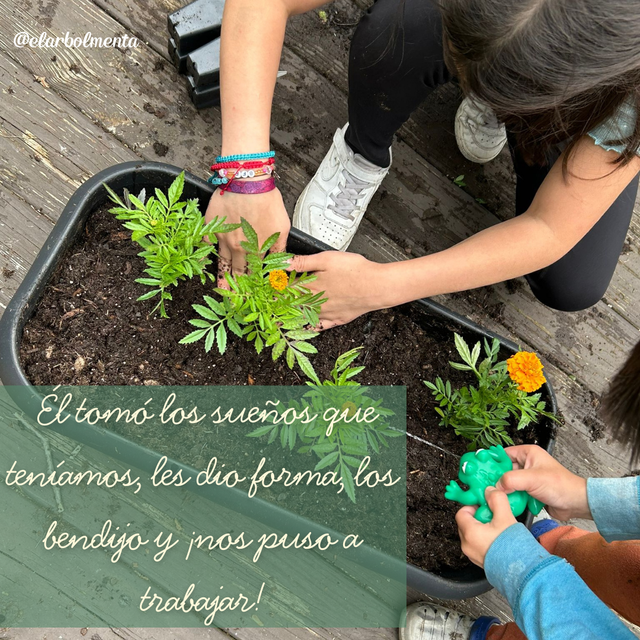 Historia de una Familia Homeschooler