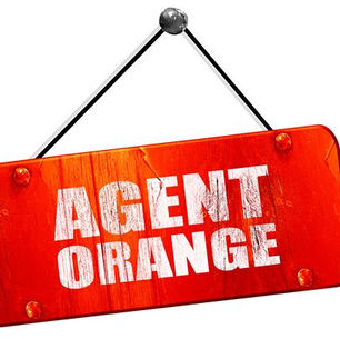 Presumptive Condition List Related to Agent Orange May Expand