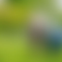 Elders Taking Care of Elders