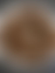 Green lentil patti 🌿🌿💚🌱💚💚🌿🌿