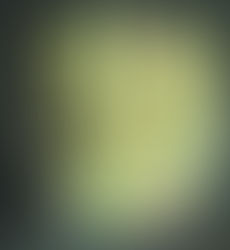 Fish sandwich for lunch 🥰❤️💚