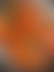 Stir fry carrots 🥕 and Papaya 🧡🧡