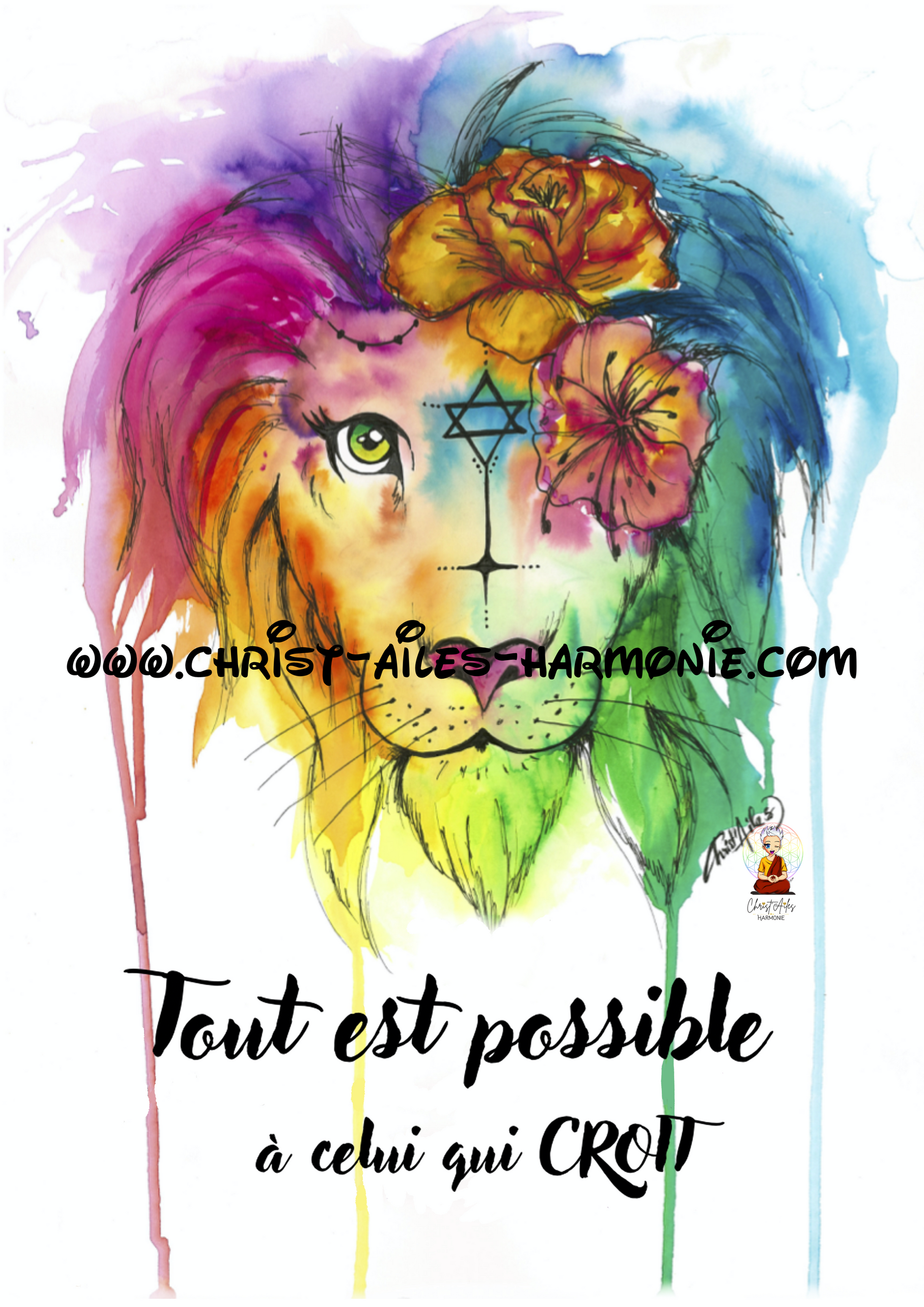 062bis Lion couleur