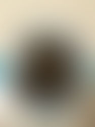 Shitake large size mushroom stir fry ♥️💚