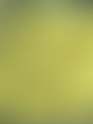 Khichuri or khichdi with moong dal