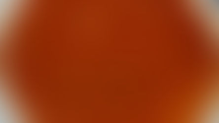 Tomato soup or tok 🍅🍅🍅