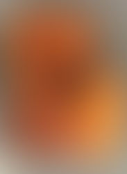 Taler pitha made by one of my loving apu 🥰🥰