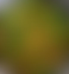 French beans & Asparagus soup or jhol