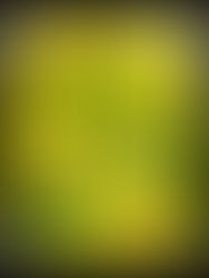 Avocado 🥑 salad 🥗