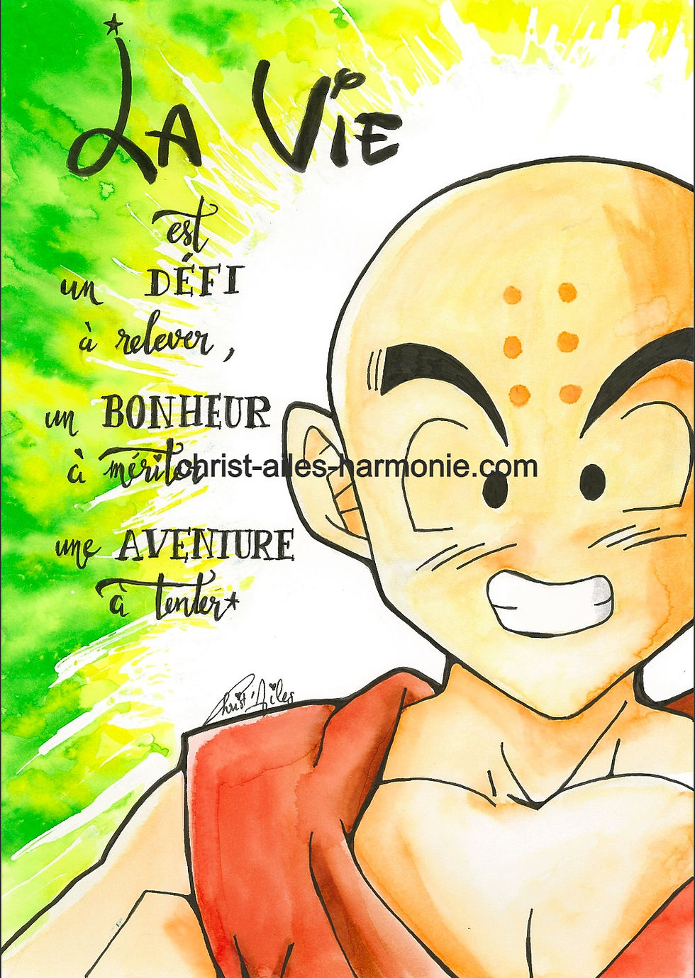 Miniature : 096 DragonBall citation sur la vie