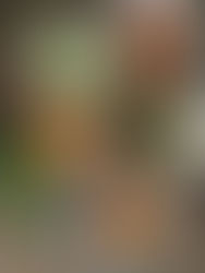 Sunday vegan 🌱 lunch