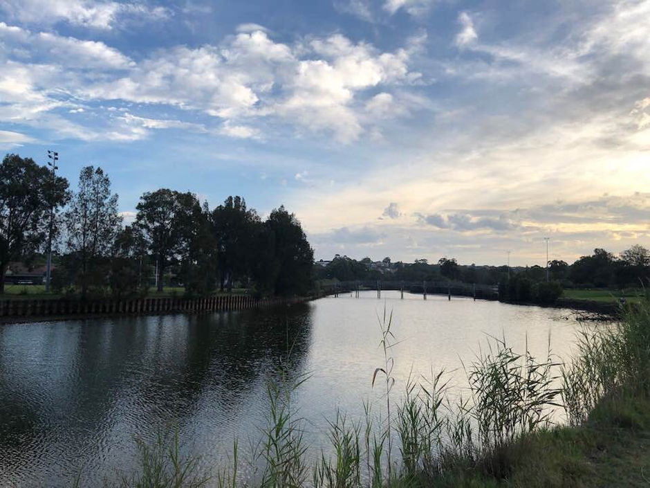 A beautiful walk near to the Cook river!