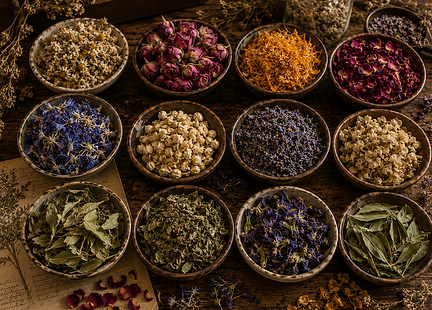 Vibrant dried calendula petals and whole green rosemary leaves for herbal skincare infusions.
