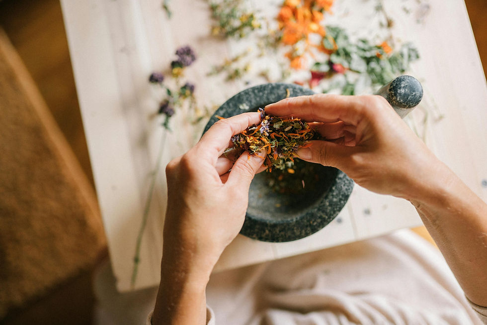 The Best Herbs for Anti-Aging Skin
