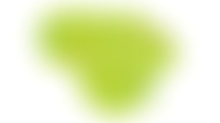 Socialinės akcijos rezultatai