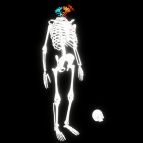 skelly flower head black.png