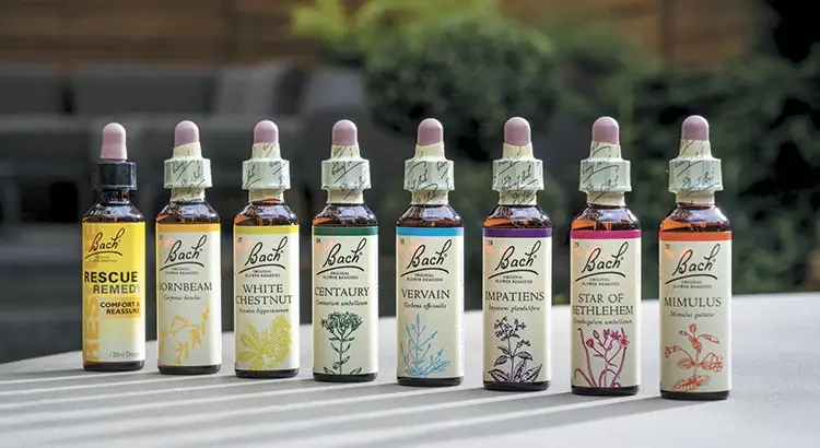 fleurs-de-bach-original-ok-750x410
