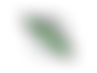 Spring Forward: Essential Home Maintenance to Protect and Enhance Your Nest