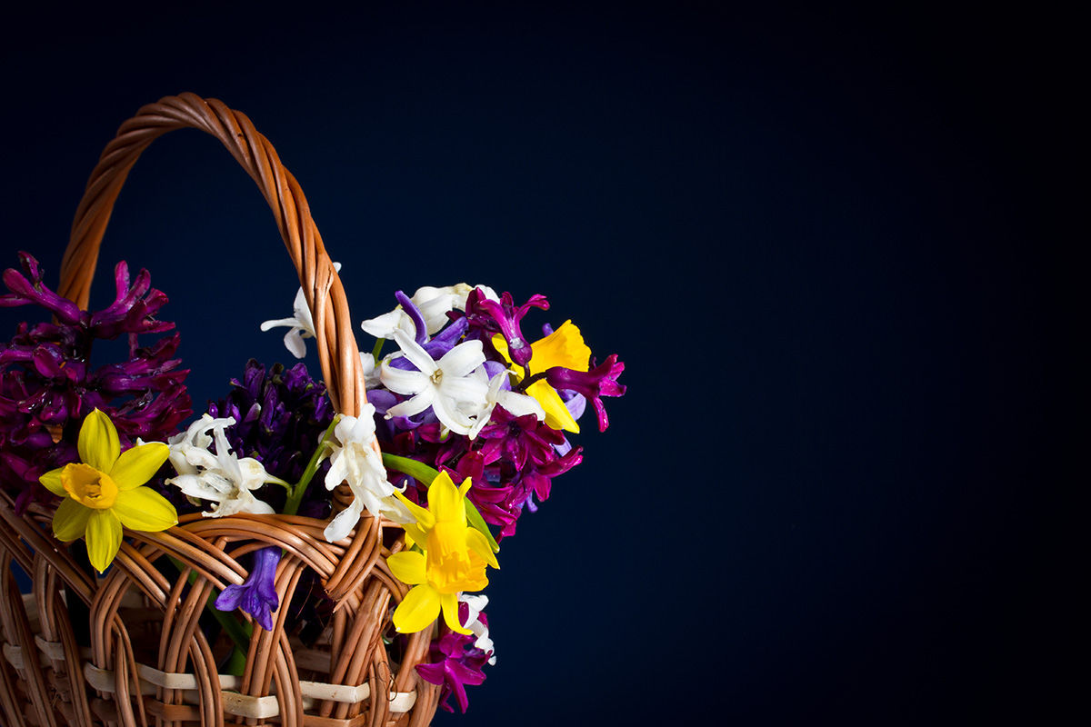 Questo è un prodotto