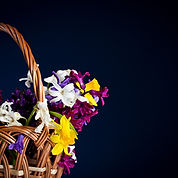 Basket of Flowers 