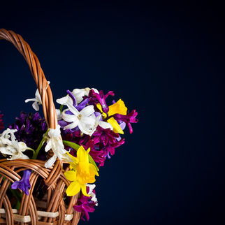 Dotty Answers Flower Girl Etiquette Question