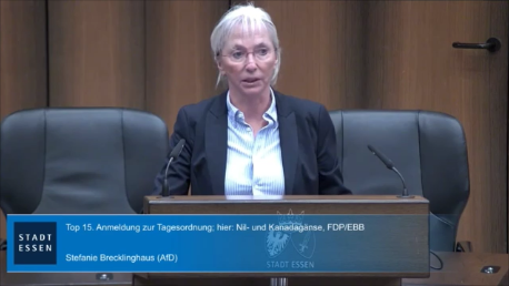 Erstellung eines Konzeptes zur Eindämmung der steigenden Zahl von Nil- und Kanadagänsen in Essen