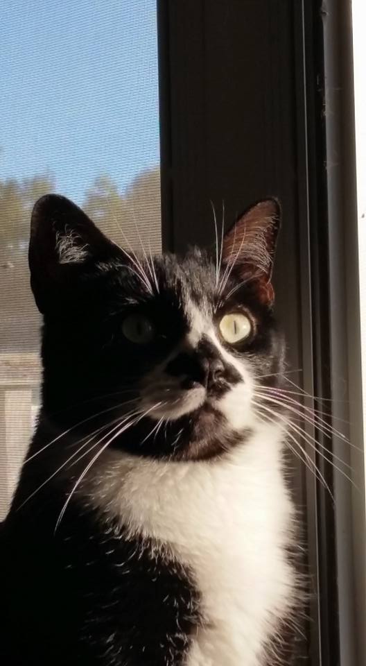 Charlie