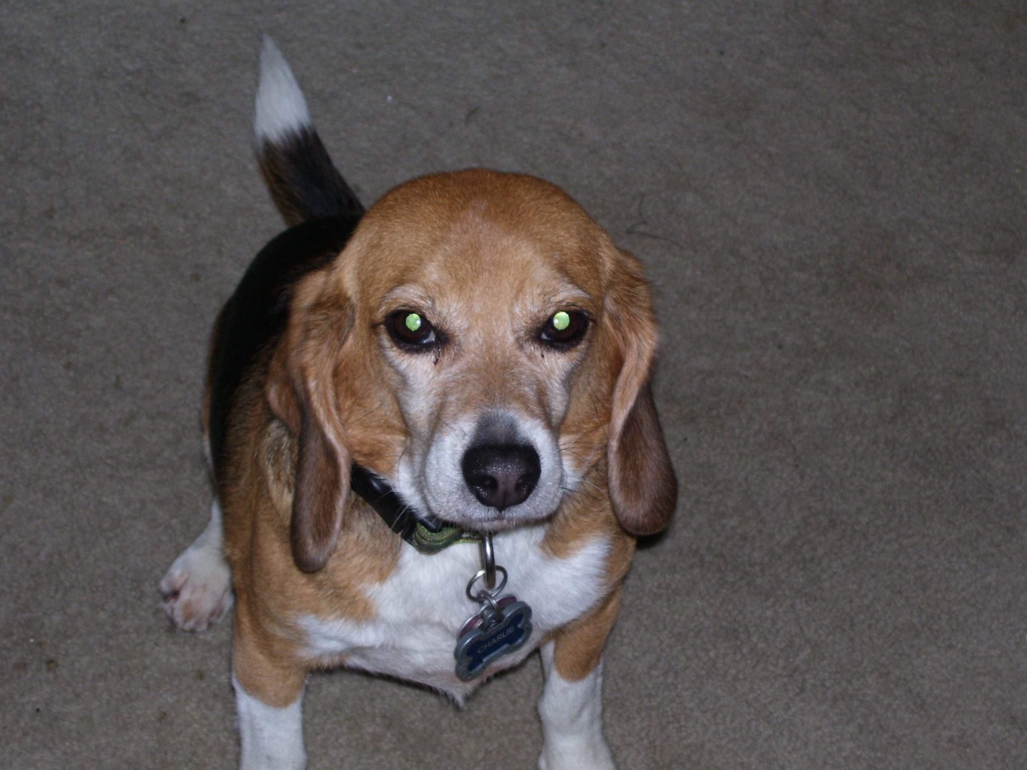 Charlie