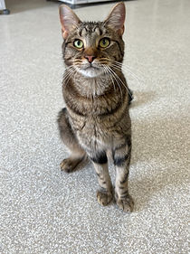 IMG-1293 (1)_edited.jpg