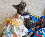 20230725_112342 (1).jpg