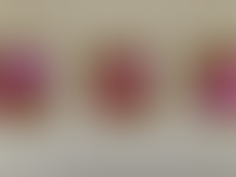 お花見イベント開催!