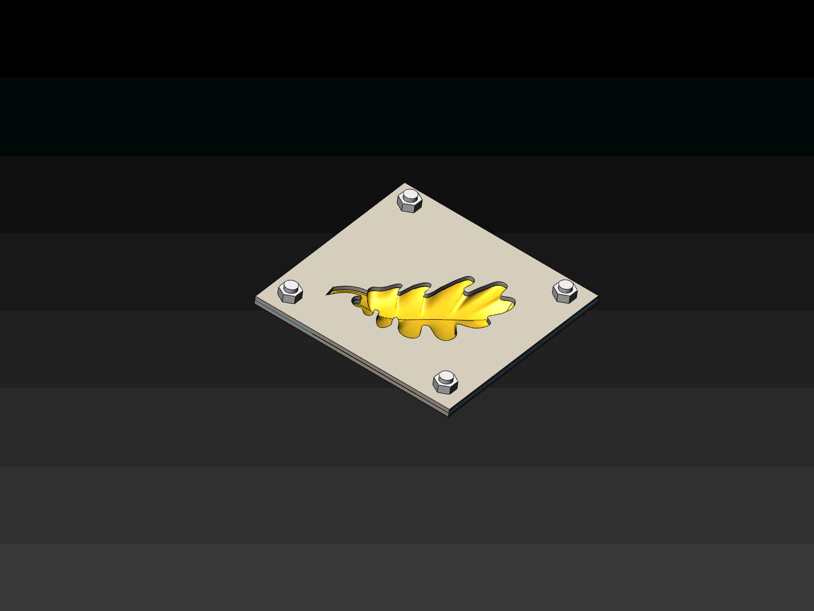 דייפורמינג.gif