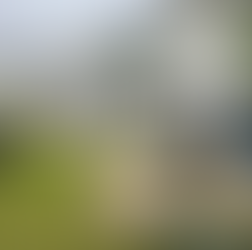 Full Garden Renovation - Greystones