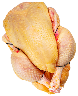 shutterstock_2399503513