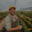 Agricultural Electrician