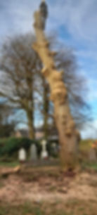 IMG-20230919-WA0051