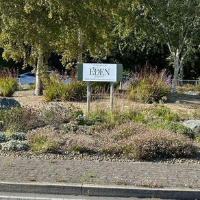 Greystones’ Shoreline Roundabout: A Showcase of Biodiversity and Coastal Beauty